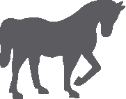 02-cheval.jpg