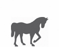 Cheval